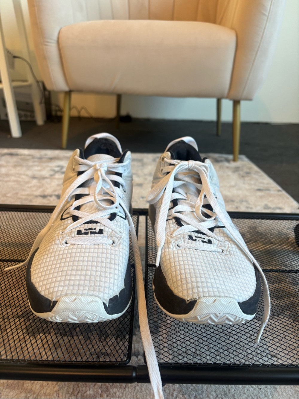 Nike LeBron James White Sneakers with Black Interior
